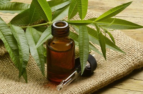 tea_tree_oil